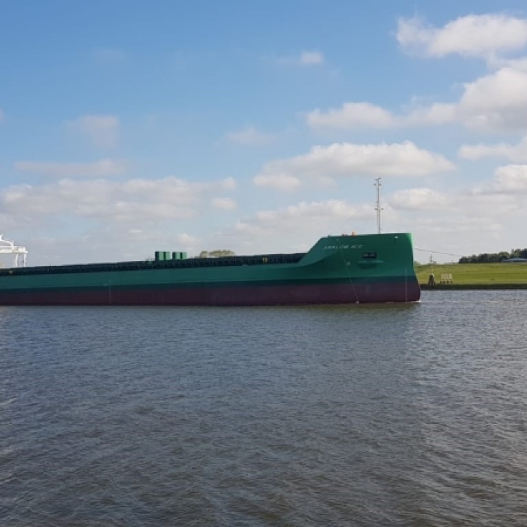 Arklow Ace - Pod of Playful Dolphins