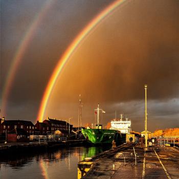 Arklow Fern