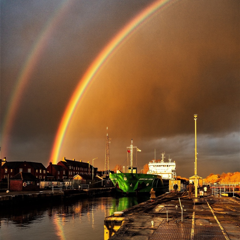 Arklow Fern