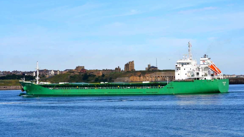 Arklow Muse