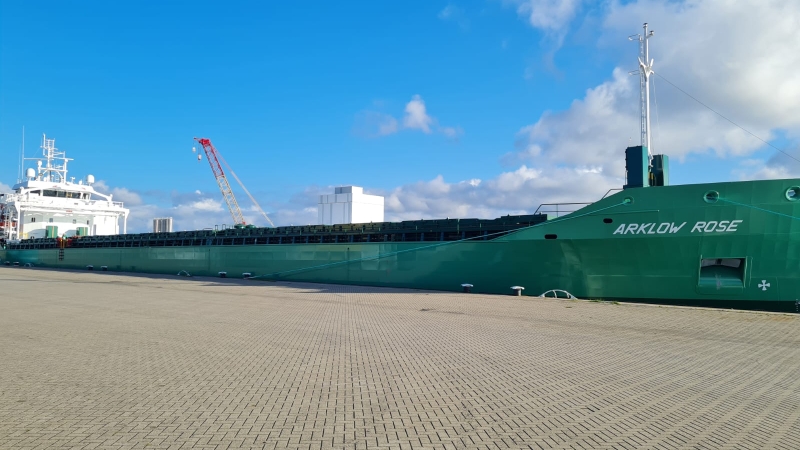 Arklow Rose